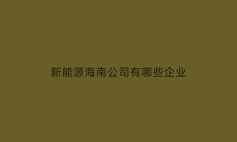 新能源海南公司有哪些企业