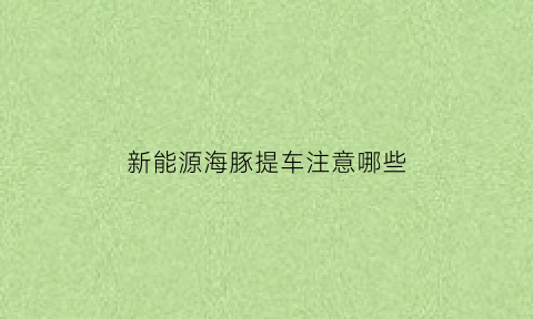 新能源海豚提车注意哪些(比亚迪海豚可以提车了吗)