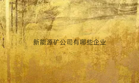 新能源矿公司有哪些企业