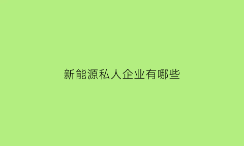 新能源私人企业有哪些