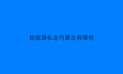 新能源私企内蒙古有哪些