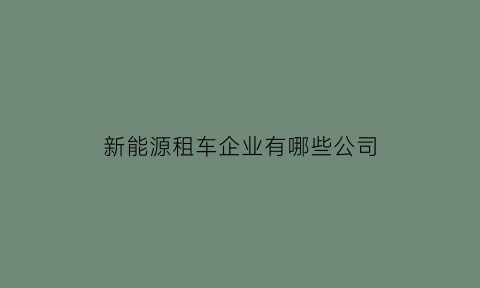 新能源租车企业有哪些公司(新能源汽车租赁前景怎么样)