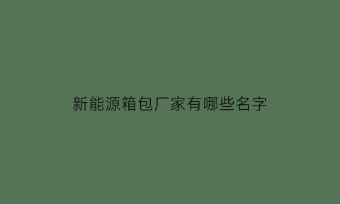 新能源箱包厂家有哪些名字(新能源箱包厂家有哪些名字呢)