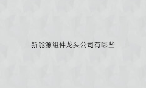 新能源组件龙头公司有哪些