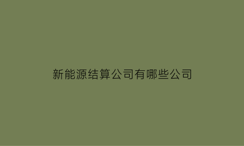 新能源结算公司有哪些公司