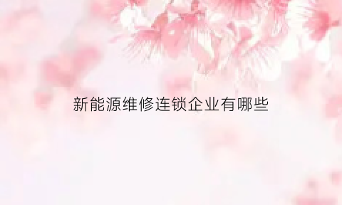 新能源维修连锁企业有哪些