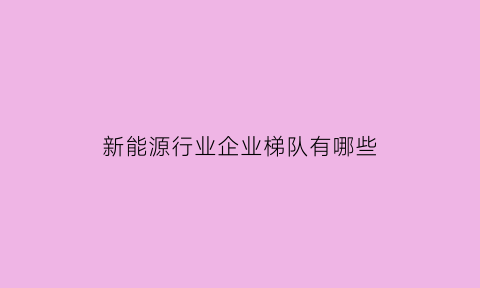 新能源行业企业梯队有哪些(新能源行业企业梯队有哪些企业)