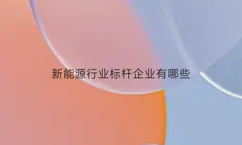 新能源行业标杆企业有哪些