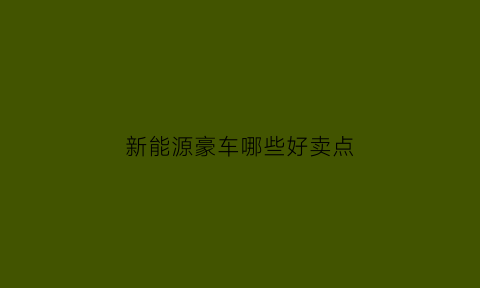 新能源豪车哪些好卖点(新能源豪车推荐)