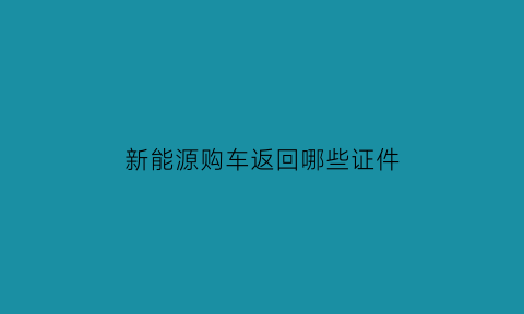 新能源购车返回哪些证件