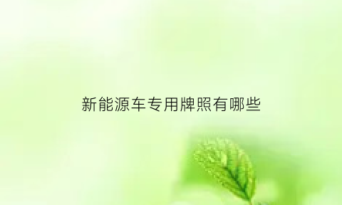 新能源车专用牌照有哪些