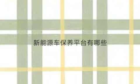 新能源车保养平台有哪些