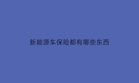 新能源车保险都有哪些东西