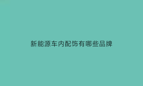 新能源车内配饰有哪些品牌