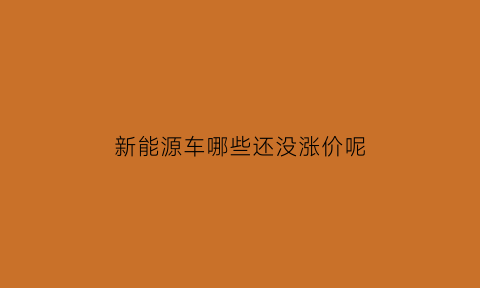 新能源车哪些还没涨价呢(新能源还涨吗)