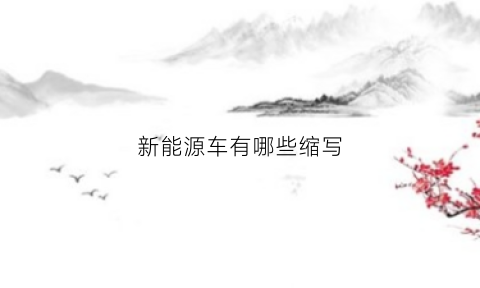 新能源车有哪些缩写