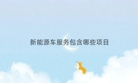 新能源车服务包含哪些项目