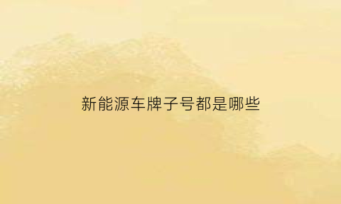 新能源车牌子号都是哪些(新能源车牌号字母是什么)