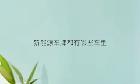 新能源车牌都有哪些车型