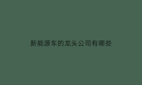 新能源车的龙头公司有哪些