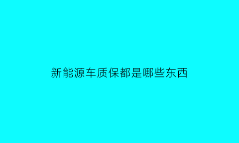 新能源车质保都是哪些东西(新能源车质保是怎么保障的)