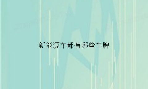 新能源车都有哪些车牌(新能源汽车有几种车牌)