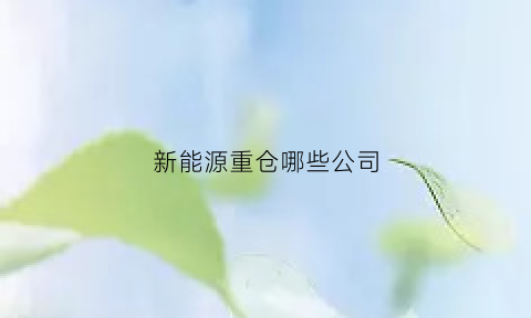 新能源重仓哪些公司