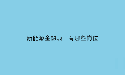 新能源金融项目有哪些岗位