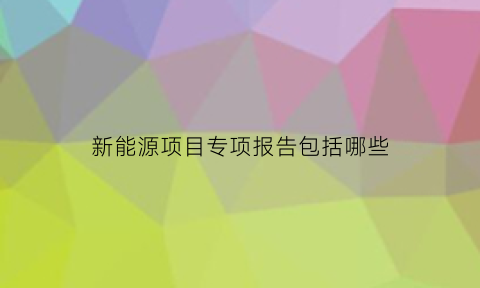 新能源项目专项报告包括哪些