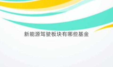 新能源驾驶板块有哪些基金(新能源汽车板块的基金有哪些)