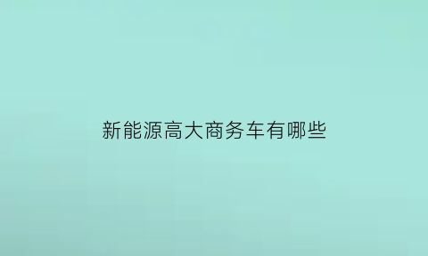 新能源高大商务车有哪些