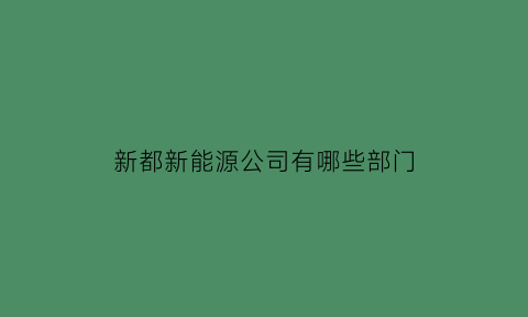 新都新能源公司有哪些部门