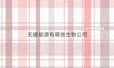 无碳能源有哪些生物公司(无碳新能源)