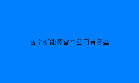 普宁新能源客车公司有哪些