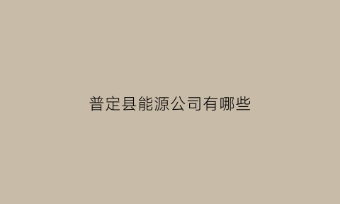 普定县能源公司有哪些