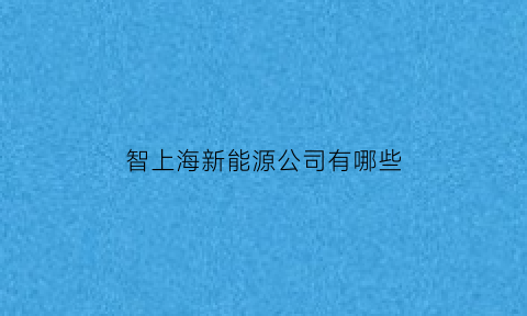 智上海新能源公司有哪些