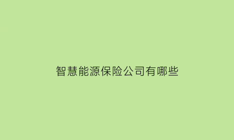 智慧能源保险公司有哪些(智慧能源公司做什么产品)