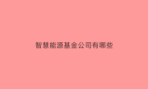 智慧能源基金公司有哪些(智慧能源这个股票怎么样)