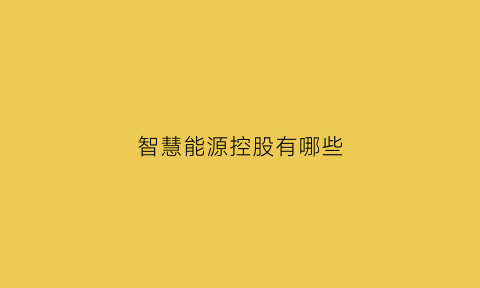 智慧能源控股有哪些