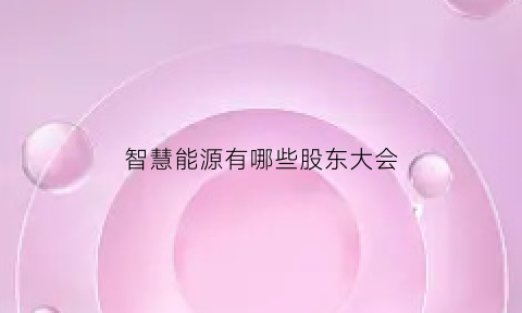 智慧能源有哪些股东大会