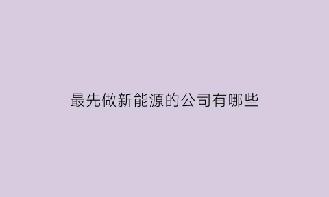 最先做新能源的公司有哪些