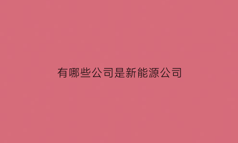 有哪些公司是新能源公司