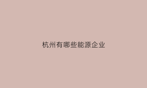 杭州有哪些能源企业(杭州能源)