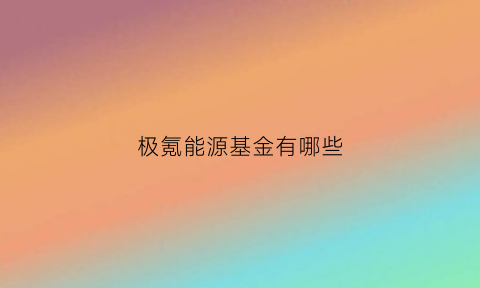 极氪能源基金有哪些