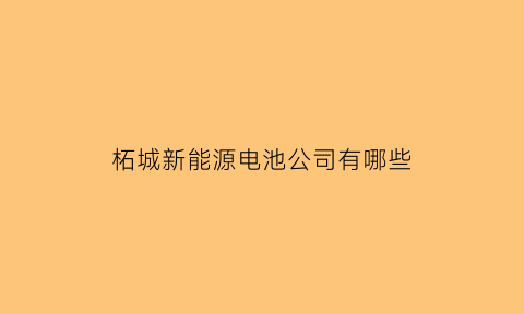 柘城新能源电池公司有哪些