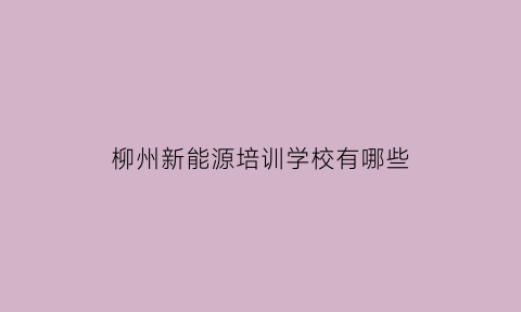 柳州新能源培训学校有哪些