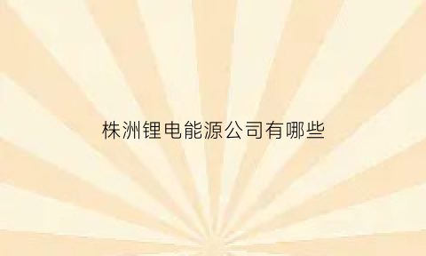 株洲锂电能源公司有哪些