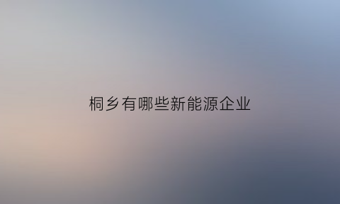 桐乡有哪些新能源企业