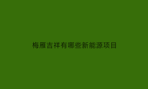 梅雁吉祥有哪些新能源项目