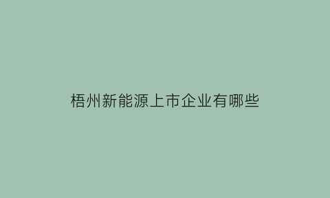 梧州新能源上市企业有哪些(梧州新能源汽车销售)